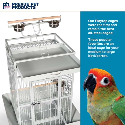 Prevue Pet Products Wrought Iron Select Bird Cage Pewter White Hammertone 3152W | Large Steel Cage with Rolling Stand and Seed Guards, Durable Design, Ideal for Conures and Medium Birds - color: Pewter, size: 24.0"L x 20.0"W x 60.0"H