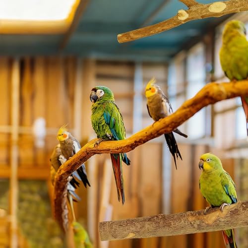 8 Pack Natural Wood Bird Perches,Parrot Perch Stand & Platform, Stand Bird Toys for Conures Budgies Finches Cockatiels Small Birds Exercise Training
