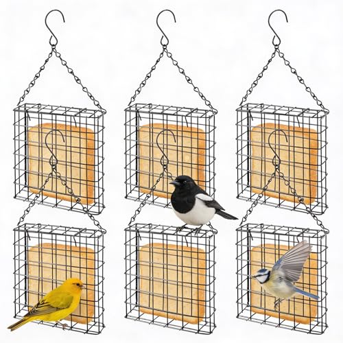 Suet Bird Feeders Outdoor, 6 Pack Hanging Wild Bird Feeder with Single Cake Capacity, Weatherproof Metal Suet Feeder for Garden Yard Decoration, Easy to Clean & Hang (Black)
