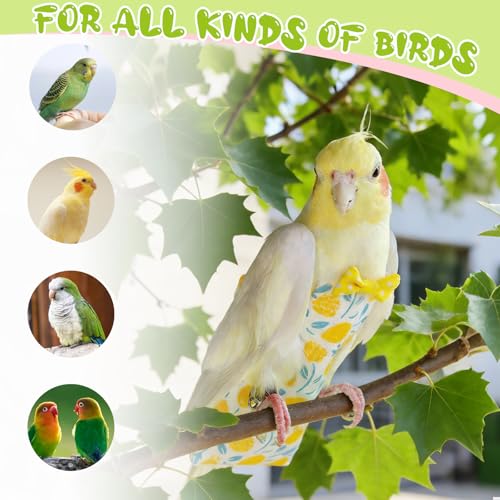 Bird Diaper Flight Suit, 3-Packs Lightweight Reusable Washable Elastic-Straps Parrot Clothes for Peony/Monk Parakeet, Prevents Poop Leaks & Feather Pecking (Bow+Lemon+Cherry, M) - color: Bow+Lemon+Cherry, size: M
