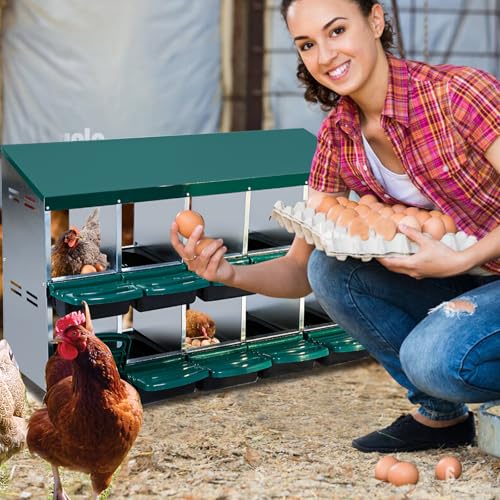 Chicken Nesting Box，Green 10 Hole Chicken Laying Box, Tray for Easy Egg Collection, Large Holes for Ventilation, Suitable for Chickens & Ducks - color: Green, size: 10 Holes