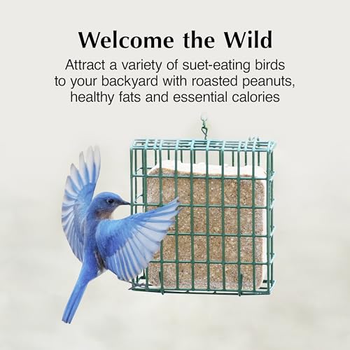 C&S Woodpecker Delight No Melt Suet Dough, Suet Cakes for Wild Birds Including Woodpeckers, Flickers and More, 11.75 Ounces, Pack of 8 - size: 1.47 Ounce (Pack of 8), style: Woodpecker, 8 Pack