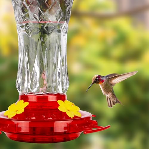Glass Hummingbird Feeders for Outdoors, Built-in Ant Moat, Red, 15oz | 4 Bee Guard Feeding Ports with Perches, Leak Proof, Stars Decor, Easy Refill & Clean, Yard Decor, Gifts for Women Men Mom Dad - color: Red