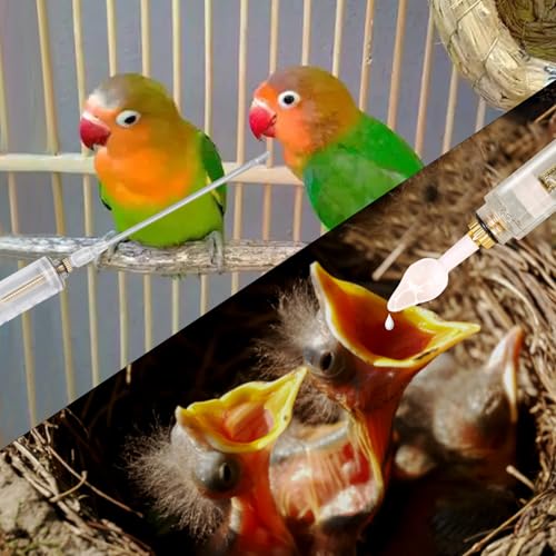 8 Pcs Baby Bird Feeding Syringe Set Parrot Hand Feeding Tubes(30ml) | Parrot Feeder Tubes Measuring Tools, for Baby Birds Small Pet - size: 30ml-Set of eight