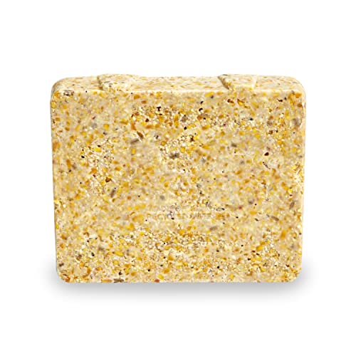 Kaytee Suet & Seed High Energy Suet, 11.75 Ounces (Pack of 4) - size: 11.75 Ounce (Pack of 4), style: Suet & Seed