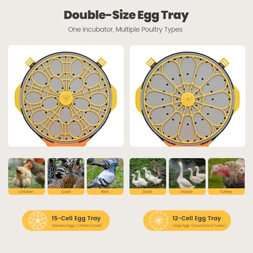 Incubators for Hatching Eggs -15-Egg Automatic Egg Chick Incubator with 5 Smart Preset Modes and Egg Turning, Temperature & Humidity Control Incubator for Goose Duck Quail Eggs