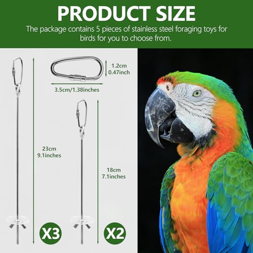LELE LIFE 5Pcs Bird Cage Food Holder, Hanging Parrot Fruit Vegetable Skewer, Stainless Steel Bird Foraging Toys Bird Cage Feeder for Parakeet Budgie Bird Cage Accessories