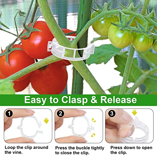 250 Pcs Tomato Clips and Hooks, Plant Support Clips for Tomatoes Grape Grow | for Plants Grow Upright or Prevent Falling Off, Makes Plants Healthier, J Tomato Hooks Trellis Vine Cages Clip