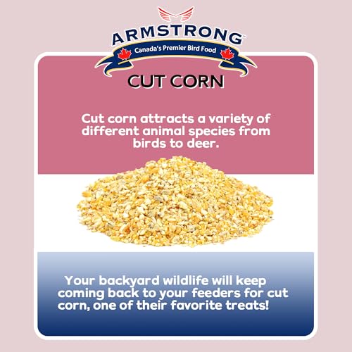 Armstrong Wild Bird Food Cut Corn, 23 Pounds - Premium High-Energy Feed for Mourning Doves, Blue Jays, Ducks & Deer - Ideal for Backyard Feeders, Ground Feeding & Outdoor Wildlife - size: 23lbs