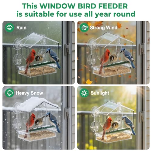 Window Bird Feeder with Non-Marking Self-Adhesive Hooks, 2 pcs Clear and Transparent, Outdoor Wild Bird Watching Gift for Finches, Cardinals (1 Large+1small Acrylic) - color: Off-white