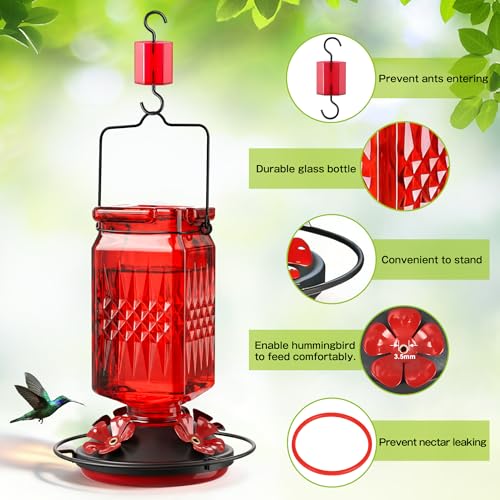 20oz Glass Hummingbird Feeder for Outdoors Hanging, Bird Nectar Feeder with 4 Bee Guard Flower-Shaped Feeding Ports & Built-in Ant Moat, for Bird Lover, Red (2 Pack) - color: Red 2 Pack