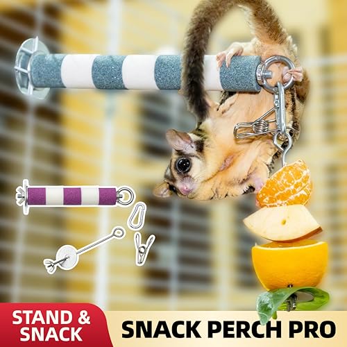 SMOLKITH 2-Pack Bird Perch with Fruit Vegetable Holder, Textured Nail Trimming Stand for Sugar Gliders, Parrots & Cockatiels, 304 Stainless Steel Foraging Skewer, 17cm & 21cm (Gray) - color: Gray
