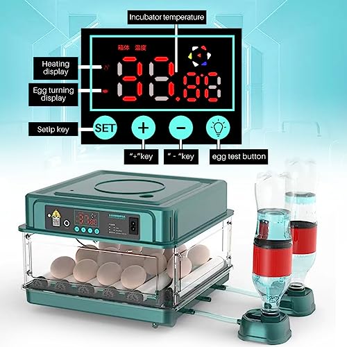 Automatic Egg Incubator 12-38 Egg Digital Poultry Hatcher Machine ith Automatic Egg Turning, Temperature & Humidity Control, Efficient LED Lighting for Chicken Geese Ducks Pigeons Quails (12 Eggs) - style: 12 Eggs