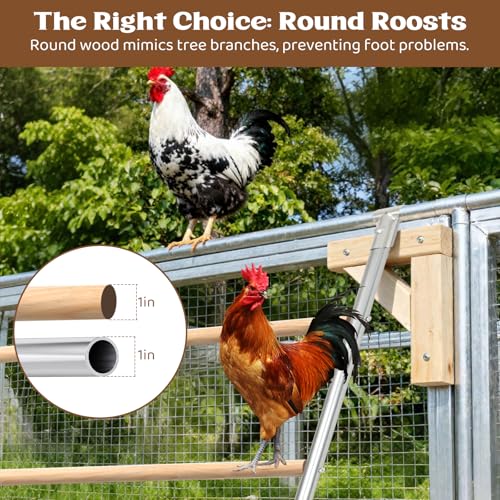Large Chicken Roosting Bars, 55 Inch Chicken Perch for Coop with Metal Frame, Sturdy Roosting Ladder for Hens, Chicken Coop Accessories and Toys for Backyard Poultry, Easy to Clean - size: 55" L x 40" W