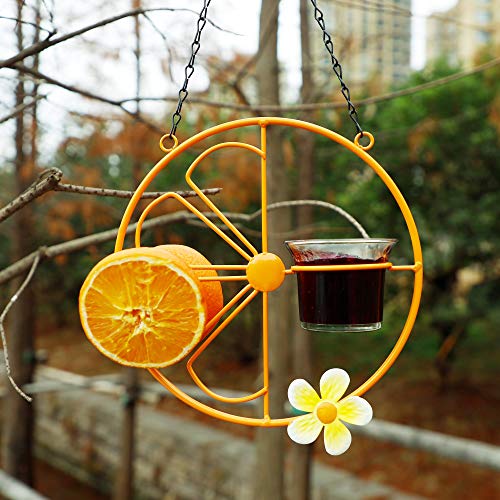 FORUP Oriole Bird Feeder for Outdoors Jelly and Oranges, Orange Fruit Oriole Jelly Bird Feeder, Outdoor Garden Metal Hanging Drinking Grape Jelly Container Hummingbird Feeder, Two Pack