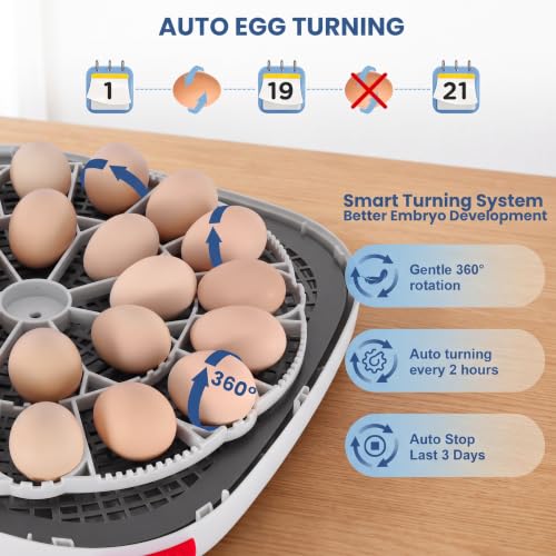 Sailnovo 24 Egg Incubators for Hatching Eggs with 4 Modes, 360° View, Blue | 24-48 Egg Capacity, for Chicken Quail Duck, Automatic Egg Turning, Temperature Control, Humidity Display,Built-in Candler