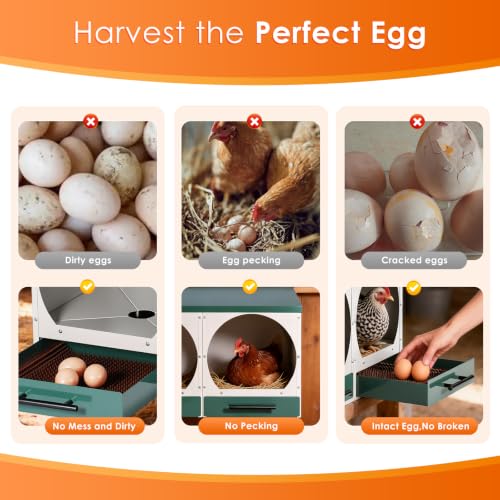 Chicken Nesting Box Roll Away Nest Boxes for Laying Hens 2 Compartments | Metal Nest Box for Chickens with Egg Collection Drawer & Lid Wall-Mounted Chicken Laying Boxes Perfect for Backyard and Farms