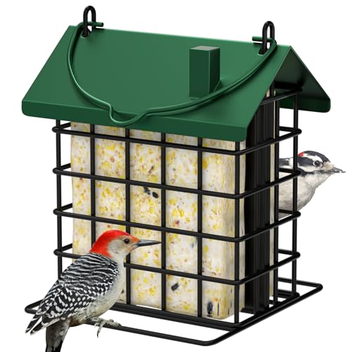 Gbekery All-Metal Double Suet Bird Feeder for Outdoors Hanging, Suet Cake Cage Holder with Weather-Resistant Roof & Perch for Outside Garden, Green - color: Green