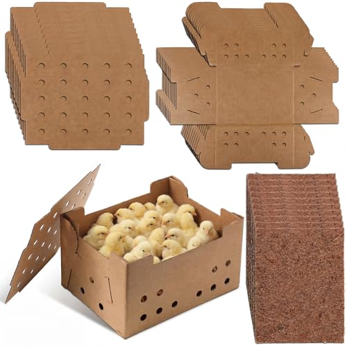 Feifeiya 10 Set Poultry Baby Chick Shipping Boxes with 10 Coconut Blankets Live Bird Shipping Boxes Cardboard Pet Carrier Hold 25 Chickens for Poultry, Pigeons, Canaries
