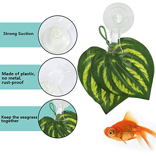 SLSON Fishes Veggie Seaweed Plant Suction Cup Clip Feeding Tool Feed Holder Aquarium Accessories for Fish Tank Fish Feeder Clips (4Pack Transparent) - color: 4Pack Transparent