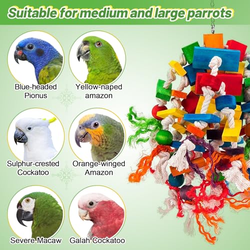 Large Parrot Toy, Multicolored Natural Wood Blocks Tearing Toys for Birds | MEWTOGO, for African Grey, Macaw, Amazon Parrots, Fun to Climb on, to Swing on, to Chew on, to Unravel, to Preen, Bird Gifts - style: Elliptical