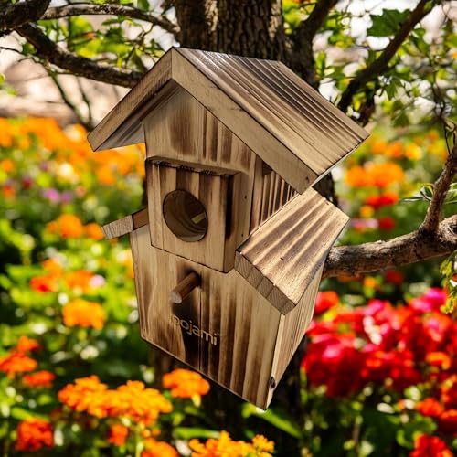 Bird House for Bluebird, Finch, Wren, Chickadee, Tree Swallow, Wild Birds, Woodpecker, Outdoor Nesting Box, Easy-to-Open (Brown) - style: Brown