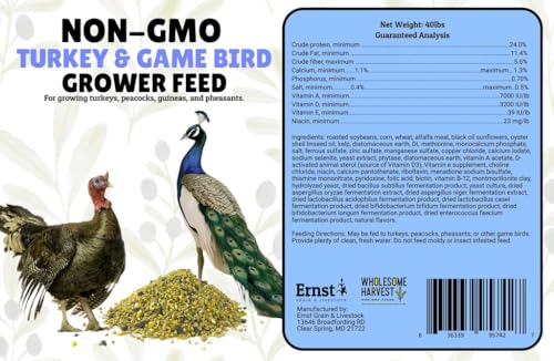 Non-GMO 40 lb Turkey Feed - Natural Peacock, Game Bird & Bird Feed, 24% High Protein Complete Food with Essential Oils, Herbs, Vitamins & Probiotics Formula for Healthy Flock Growth - size: 40 Pound (Pack of 1)