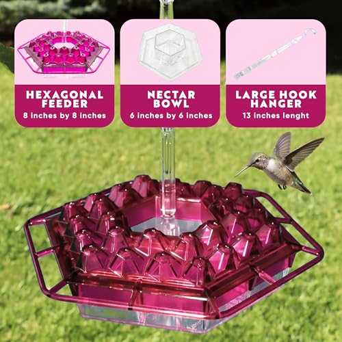 Lil Sweety Hummingbird Feeder for Outdoors Hanging, 12 oz Leak-Proof Nectar Feeder with 30 Feeding Ports, Built-in Ant Moat & Bee Guard, Easy Fill & Clean for Patio, Porch, Garden, USA Made, Fuschia - color: Fuschia