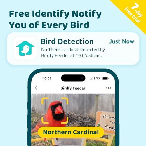 NETVUE by Birdfy Pro Smart Bird Feeder with Camera Solar Panel, Instant Arrival Alerts, Live Stream & Night Vision for Outdoors & Backyard Hummingbird, Cardinalis & Oriole Watching, Ideal Gifts,Yellow - color: Yellow, style: Pro