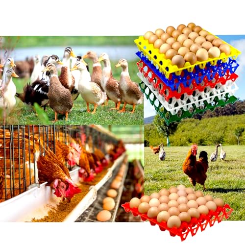 15-Pack Reusable Plastic Egg Tray Egg Crates 30-Egg Flats for Home Chicken Farmers, Stackable Egg Cartons Hold Multiple Eggs, Great for Storing, Sorting, and Shipping Eggs, Durable and Reusable