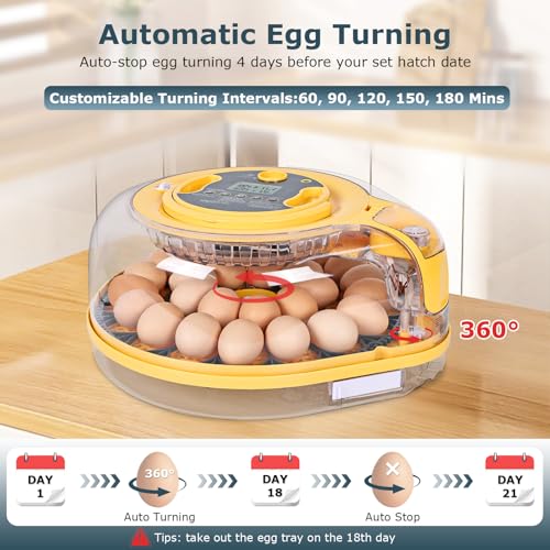 Egg Incubator, 26 Chicken/59 Quail Eggs Incubators for Hatching Eggs with Temp & Humidity Control, Auto Egg Turner, Adjustable Hatch Day & Air Vent, Egg Candler, Auto Water Refill, 360° Clear View - size: 26 Eggs