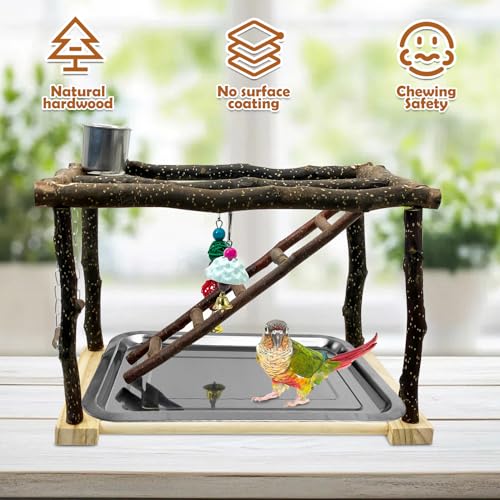 Tfwadmx Parrots Playstand Bird Play Gym Cockatiel Playground Wood Perch Stand Climb Swing Ladders Chewing Toys with Feeding Cups Exercise Activity Center for Conure Cockatiel Lovebirds