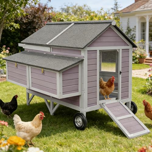 Aivituvin Chicken Coop Large Mobile Wooden Hen House with Nesting Box, Poultry Cage with Strong Iron Frame, Waterproof (Grey, AIR97) - size: 68.1"L x 53.9"W x 49.0"H