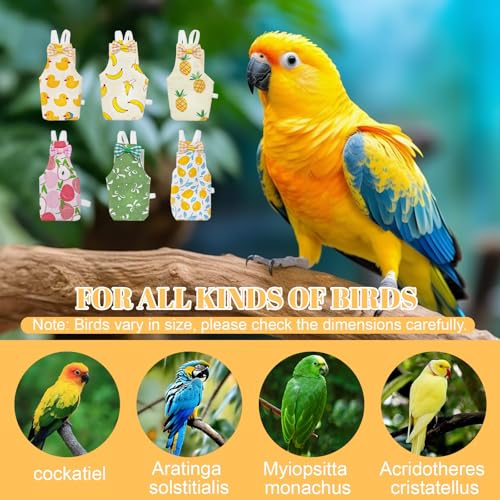 6Pcs Bird Diaper - Reusable Parrot Diapers with Waterproof Inner (Medium) | Washable Pet Bird Diapers for Budgie Lovebird Parakeet Canary