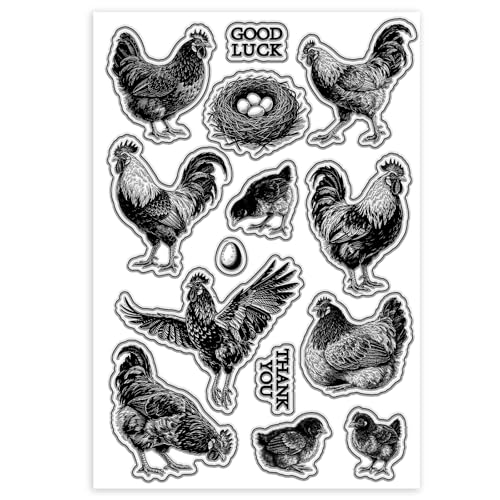 CHGCRAFT Realistic Chicken Clear Stamps Egg Transparent Stamps Farm Silicone Clear Stamp Seals for DIY Scrapbooking Photo Album Decoration, 4.3×6.3 inch - style: Realistic Chicken