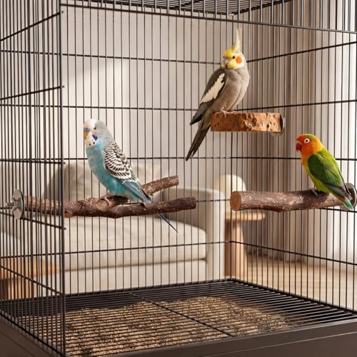 8PCS Bird Perches Set Natural Apple Wood Bird Cage Accessories Wooden Parrot Stand Hardwood Branches for Parakeets, Budgies, Cockatiels Small Bird Habitat Gym, Climbing Stand & Safe Chew Toys