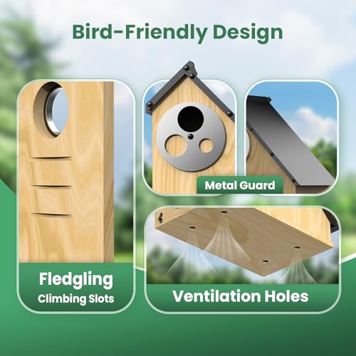 Bird House - Adjustable Entrance Fit All Birds, Outdoor Bird Houses for Outside Weatherproof, Durable Wood Birdhouse for Bluebird, Finche, Wren, Chickadee, an Ideal Backyard Decoration (Iron Roof)