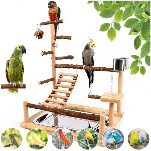 Natural Wooden Parrot Play Stand | Perch with Removable Tray, 2 Stainless Steel Cups & Swing | for Cockatiels, Budgies, Conures & Small Birds (2 Cup with Tray)