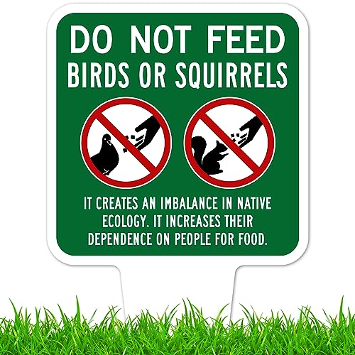 Do Not Feed Birds and Squirrels Sign, 9"x17", Heavy Duty Integrated Ground Stakes, Indoor/Outdoor Use, Rust Free Aluminum Composite, Made in USA by My Sign center - color: Birds/Squirrels, size: 9"x17"