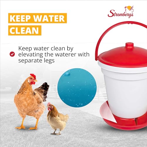 Stromberg's 5 Gallon Bucket Waterer for Chicken Coops, Easy to Fill, Durable, Separate Legs for Elevation, Reduces Bedding in Water, Ideal for Poultry, Suitable for All Seasons, Keeps Water Clean