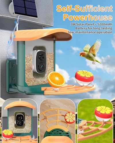 Bird Feeder with Camera, 2K HD Camera Birds Feeder with AI Bird Recognition, Solar Powered Smart Birdfeeder with App Control, Color Night Vision, Gift Box Package, Easy Install & Family Sharing - color: Dark Green, size: Stand
