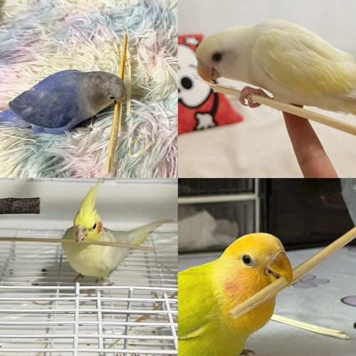 Hamiledyi Natural Bird Toys Foraging Parrot Shredding Toys Wheat Straw Chewing Toy for Cockatiel Lovebird Parakeet Budgie Small-Medium Birds (200 Pieces) - size: 200 pieces