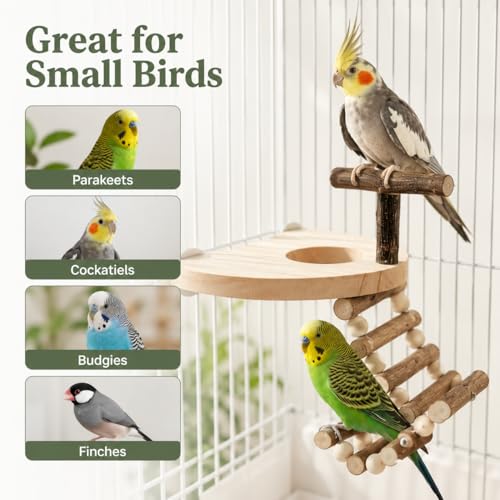 Bird Perch for Cage, Natural Pine Wood Platform with Ladder, Cage Mounted Parrot Perch for Parakeets, Cockatiels, Budgies, Finches & Small Birds