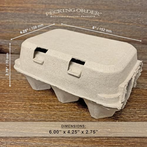 6-Egg Paper Egg Cartons - 24 Pack