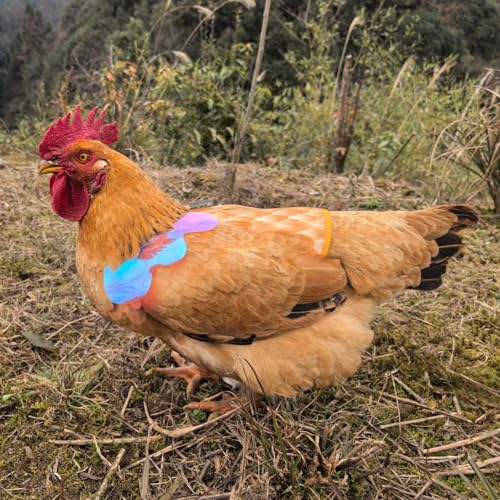Chicken Saddles for Hens with Detachable Wings, Adjustable Hen Apron Back Protector for Feather Recovery, Double-Layer Breathable Poultry Saver for Standard Breeds (Yellow 2pcs) | Double-Layered Breathable Poultry Back Protector For Hens During Mating And
