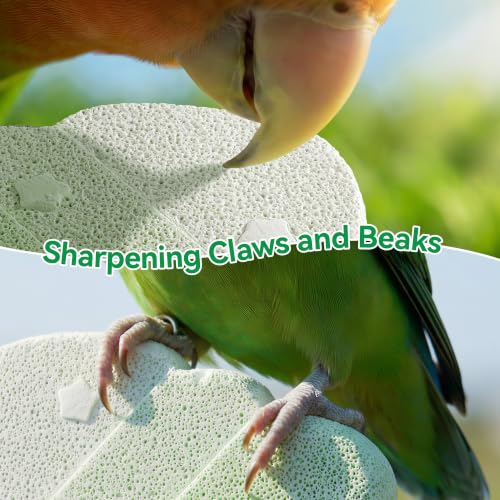 2 Pack Bird Beak Grinding Stone, Parrot Perch for Cage Volcanic Rock Mineral Bird Perch, Parrot Cage Accessories for Parakeets Budgies Cockatiels, Lovebirds Small to Medium Birds - color: Green+Purple