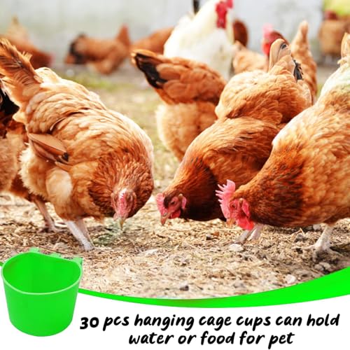 30 Pcs Chicken Coop Feeder Water Cup,8 oz Cage Cups Chicken Feeder Waterer, Cage Cups Birds Hanging Feeders, Chicken Feeder Water Bowl for Parakeet Poultry Pigeon Bunny Wire Cage(Green) - color: Green, size: 8oz