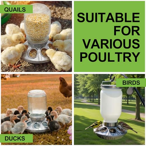 Potchen 2 Pcs Baby Chick Feeder Base, Galvanized Steel Poultry Feeding Tray with 8 Holes, 1 Quart Compatible with Mason Jars & Standard Feeder Jars for Small Birds Chicks - style: Feeder