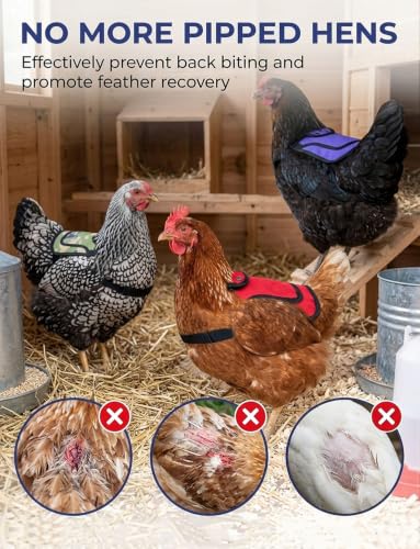 4Pcs Chicken Saddles for Hens with Anti-Drop Strap Hen Apron Back Protector | Poultry Flock Armor Clothes for Protection, Adjustable Touch Fastener for Feather Fixer