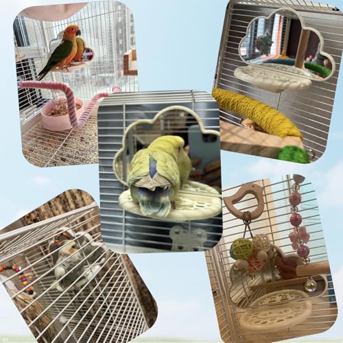 Bird Mirror Toy with Perch & Slow Feeder, Bird Cage Accessories Parakeet - color: Green
